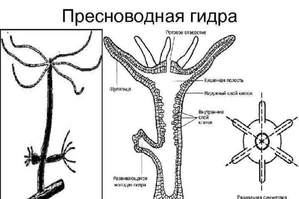 Кракен макет даркнет