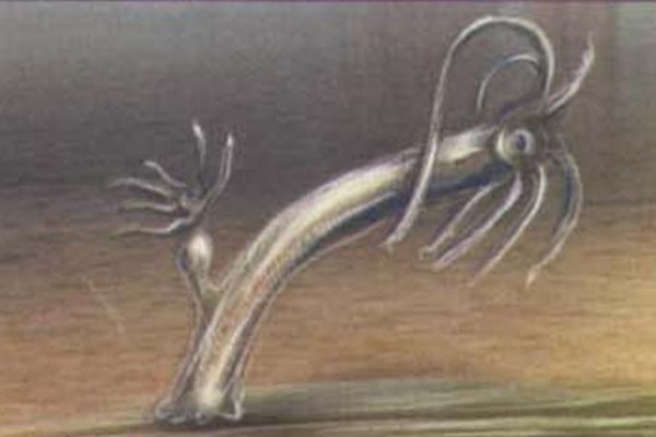 Kraken kraken link24 info