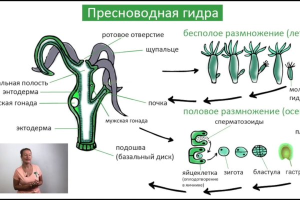 Кракен тор kraken clear com