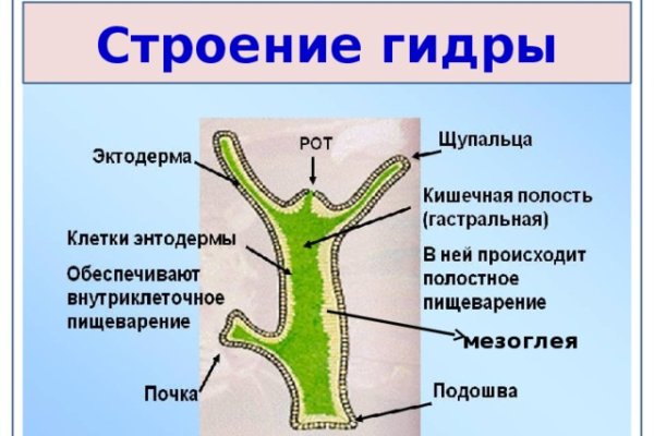 Рабочие ссылки kraken