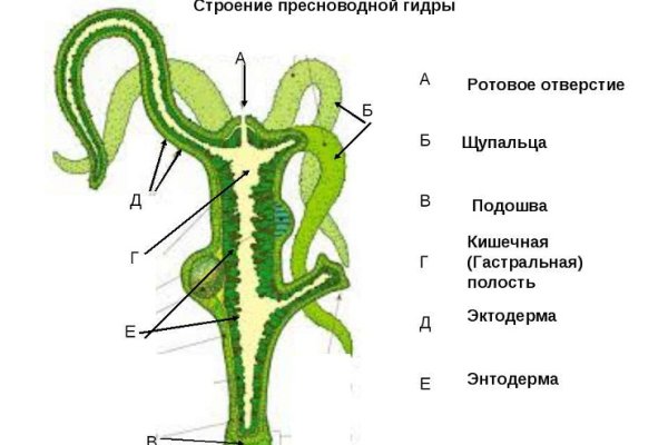 Kraken актуальная ссылка onion